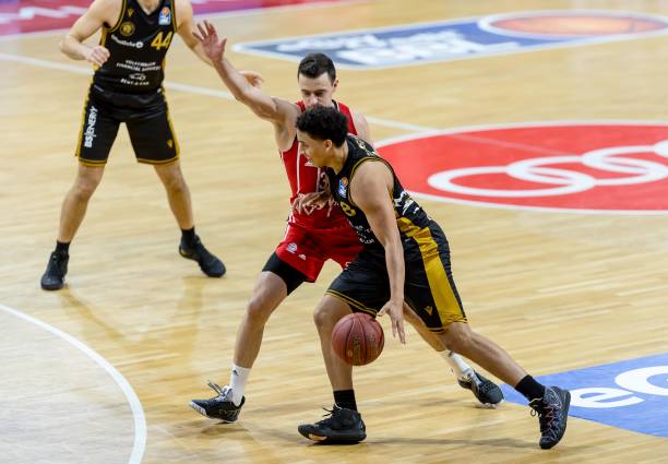 提供了宝贵 提供了宝贵